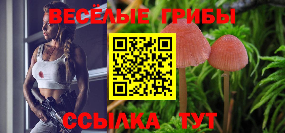 Галлюциногенные грибы Psilocybine cubensis  Вход с VPN  Анапа 